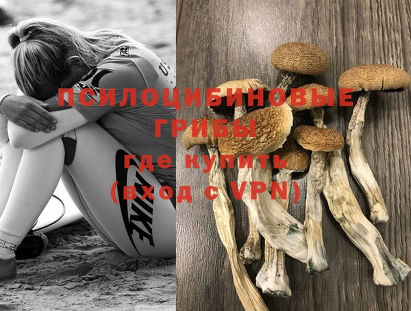 ешки Богородицк